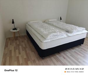 Zoo house near Billund Legoland