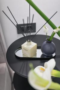 S&S Luxury Apartment with balcony, 10 Minutes walk to Old Town, free parking