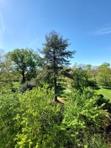 Domaine de lElysée
