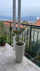 Trebiano a casa dei nonni