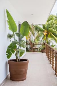 North Beachfront Villa