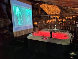 Appartements LOVE ROOM Chalet des ALPES : photos des chambres
