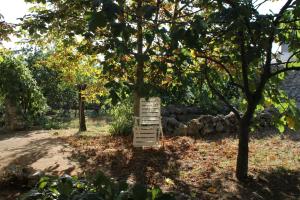 Romantisches Ferienhaus mit großem Garten 1200 qm, nah zu einem schönen Strand