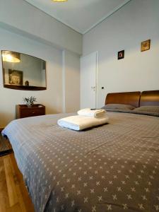 Art Interior Apartment in Athens next to Metro Stations &Hospitals