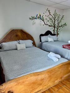 1961 Los Naranjos Hostal