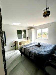Maisons de vacances Havre de paix avec jacuzzi et jardin a pied du centre-ville : photos des chambres