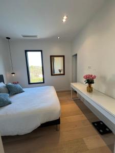 Villa Les Jasmins - Le Cannet-Vallauris - Modern with AC, ideal for fun and work