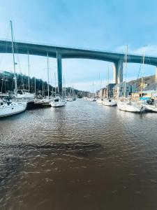 Maisons de vacances La Maison Rouge sur le port a proximite de toutes commodites 2 personnes : photos des chambres