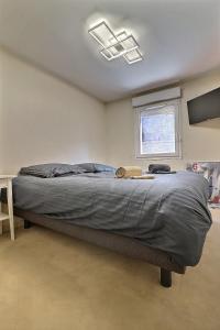 Appartements Superbe 3 ch avec ascenseur parking hyper centre Trouville : photos des chambres