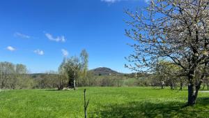 Bergidylle- Saniert und Hochwertig mit Massivholzmöbeln, Sonnenterrasse in der Natur, fußgängig ins Zentrum