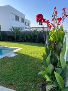 Villa d’AinaPropiedad privada con piscina