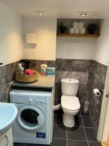 Mezzanine Studio Flat in Putney