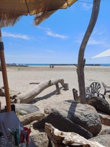 Chalets Marseillan Pomerols loue cottage : photos des chambres