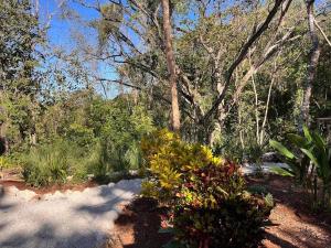 Ocean View Jungle Casitas