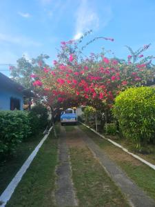 Quarto amizade GSales