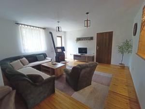 Vlasinsko jezero vila BiLiV