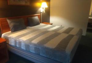 King Bed Hotel Studio 220