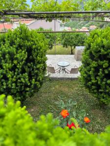 Studio apartman Gara