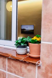 Suite Feria