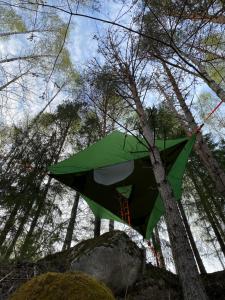 Karula Stay Cliffside Treetent at Karula National Park