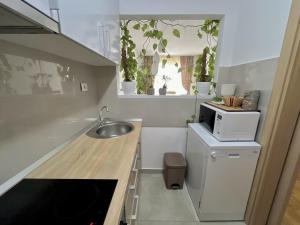 Plaza Apartment