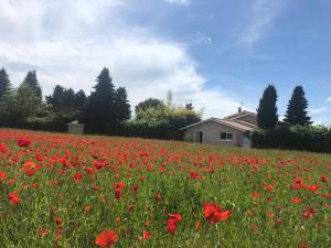 Appartements Le Jacqueron : photos des chambres