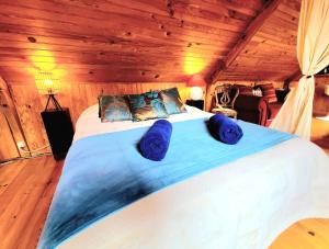 Appartements Le Chalet de Bellebrune : photos des chambres