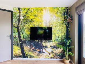 Morning Glory Huisje Salvia