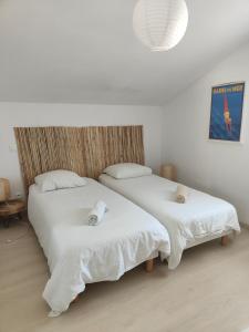 Villa de la plage 3 chambres, à 2 pas de locéan