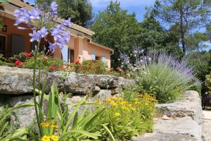 Villas Villa les figuiers : photos des chambres