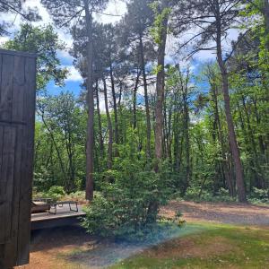 Cabin indebos
