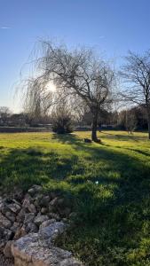 Maisons de vacances Aux 4 Ailes - 20 min from Beauval Zoo - 4 people : photos des chambres
