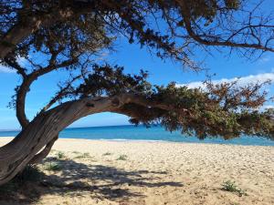 Casale Diletta img65