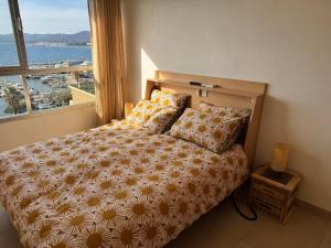 Appartements Tres bel appartement T3 dernier etage vue mer : photos des chambres