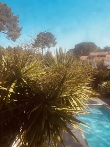 Appartements modern appartement with private garden & shared pool : photos des chambres