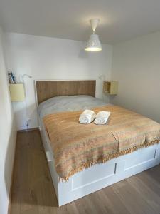 Cozy Studio in a central and quiet area near Basel