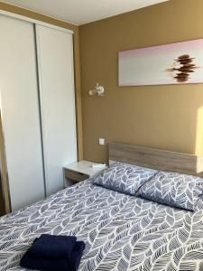 Appartements Le Petit Fabre : photos des chambres