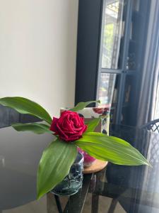 Maison cosy climatisée avec jardin