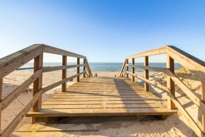 Amber Dunes - by rentmonkey