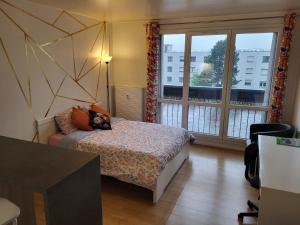 Appartements Studio avec parking gratuit : photos des chambres