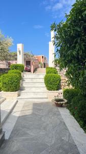 Golden Sun Apartments