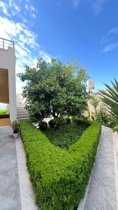 Golden Sun Apartments