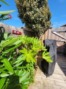 Maisons de vacances Cocon entre presqu'ile du Cap Ferret et plages oceanes - terrasse - 1 velo gratuit : photos des chambres