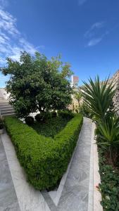 Golden Sun Apartment 2