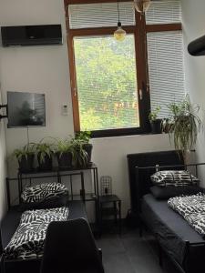 INDUSTRIAL ZONE-STUDIO 3