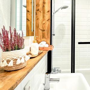 Apartment Südwind - Beautiful premium apartment with 2 bedrooms near Rhine Falls & Zurich Airport in Klettgau