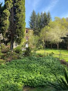 Maisons de vacances Moulin Grand, entire accommodation, 2br park river : photos des chambres