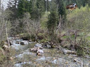 Mirsads Mountain Cottage