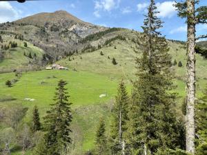 Mirsads Mountain Cottage