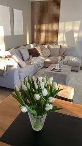 Villa Aka - Spacious townhouse end by the lake